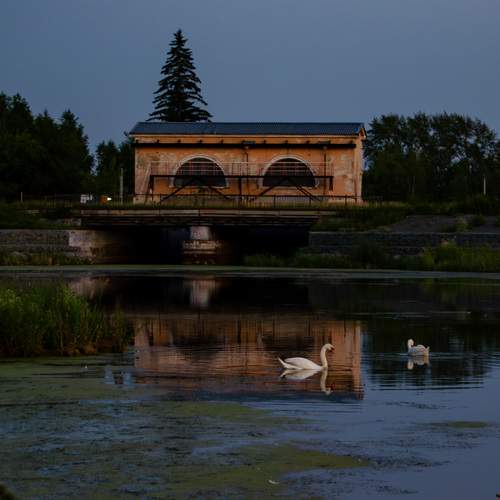 Photo #12037148