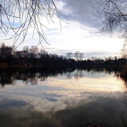 Photo #12037151