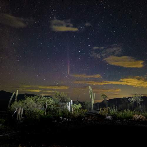 Photo #12037257