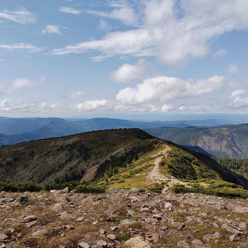 Photo #12037267