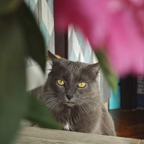 Photo #12037430