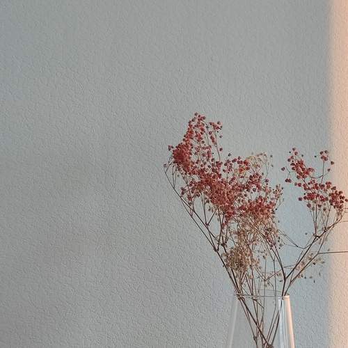 Photo #12037595