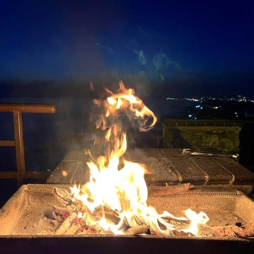 Photo #12037664