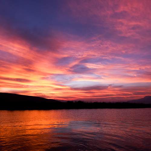 Photo #12037757