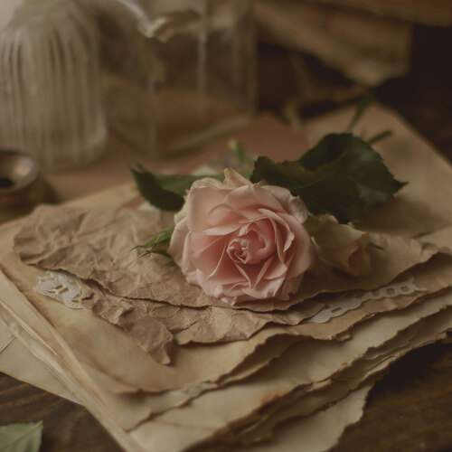 Photo #12037779