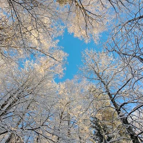 Photo #12037856