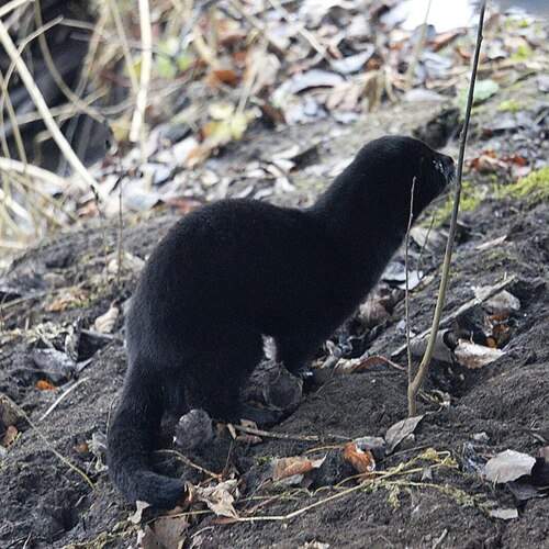 Photo #12037982