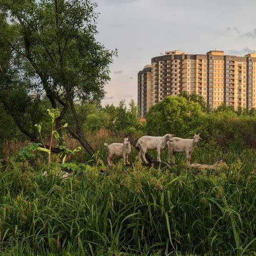Photo #12038005