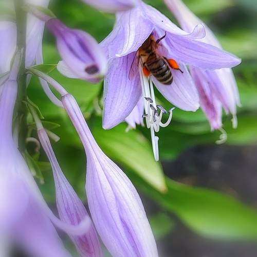 Photo #12038233