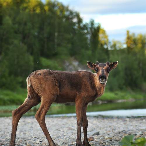 Photo #12038445