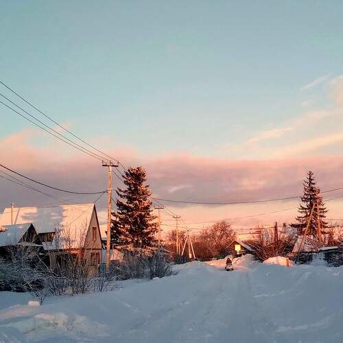 Photo #12038781