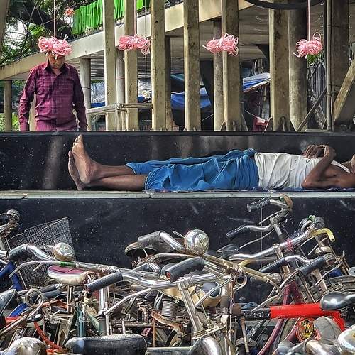 Photo #12038784