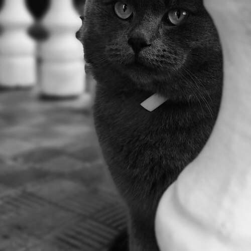 Photo #12038842