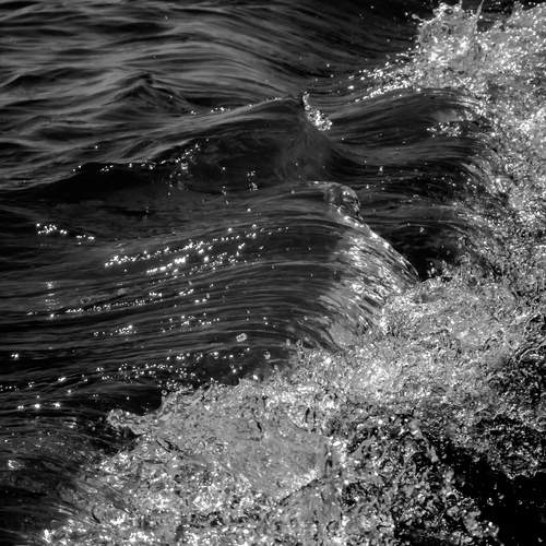 Sea motions / Dreamy sea