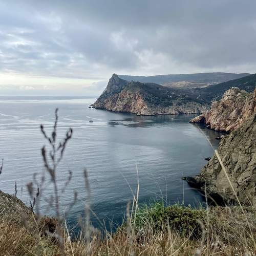 Photo #12039231