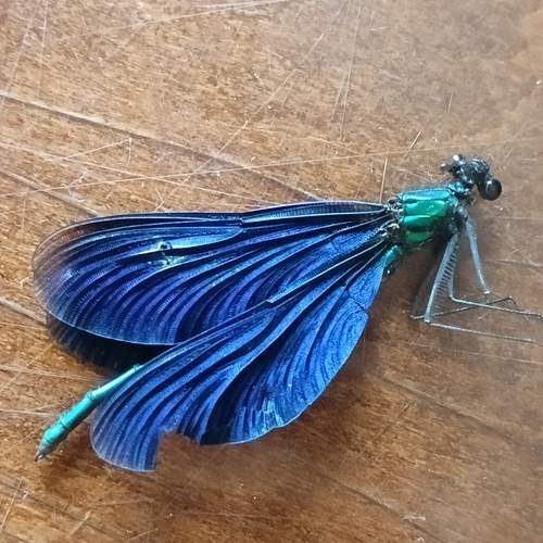 Photo #12039260