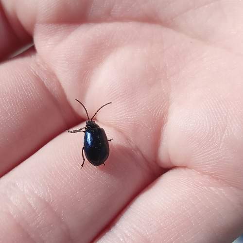 Photo #12039355