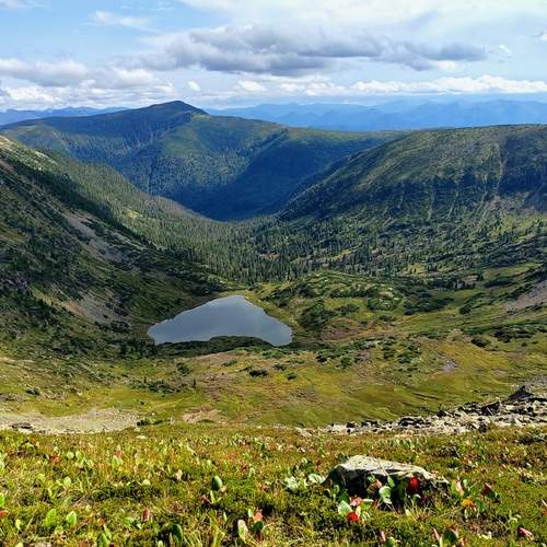 Photo #12039362