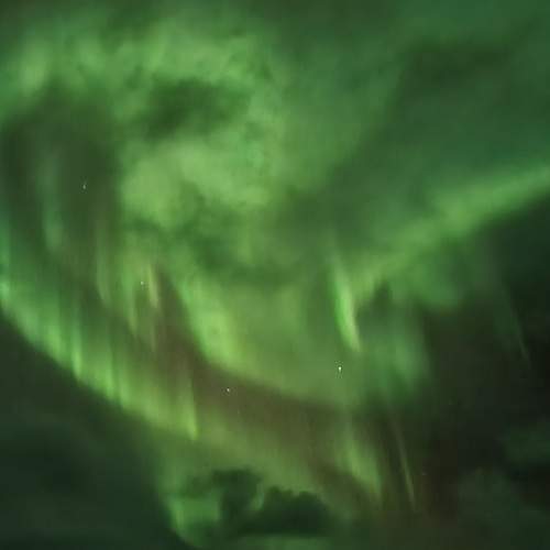 Photo #12039981