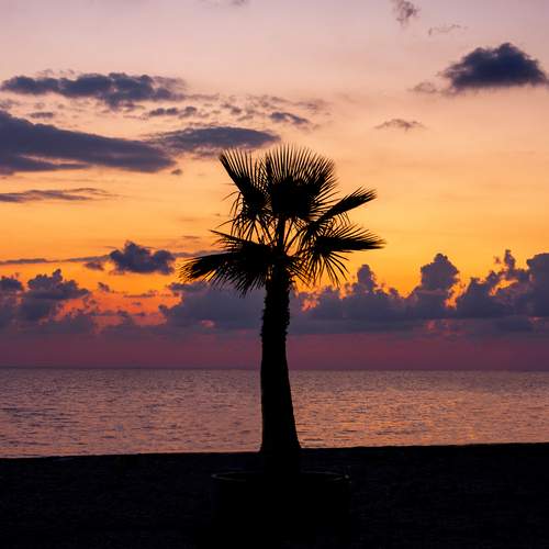 Photo #12040173