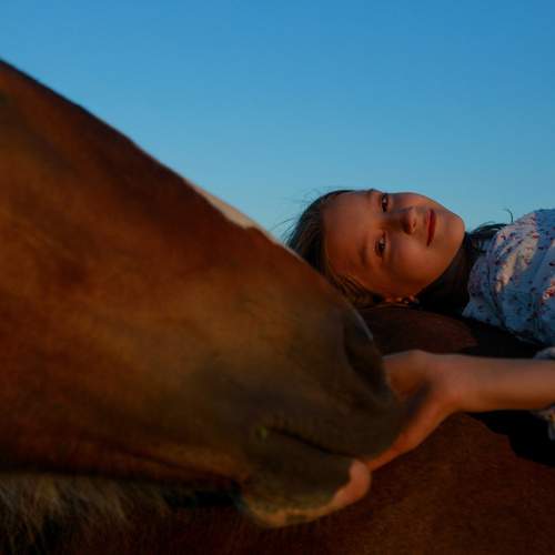 Photo #12040326