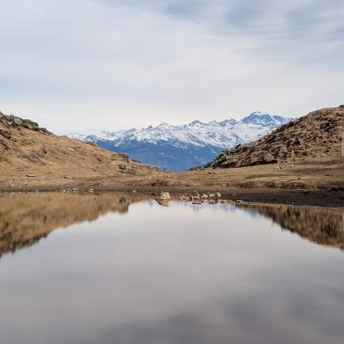 Photo #12040586