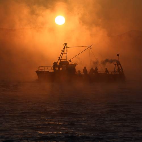 Photo #12040691