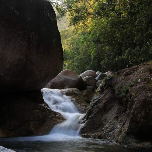 Photo #12041367