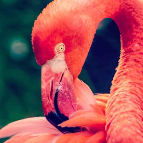 Photo #12041419