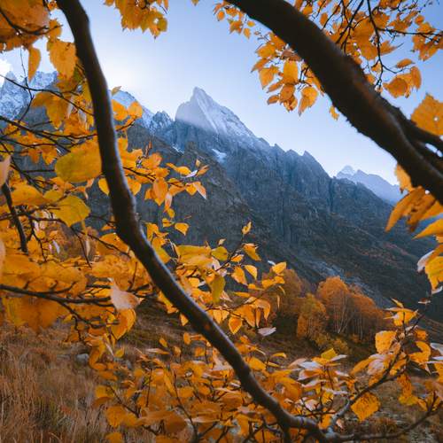 Фотография #12041454