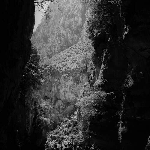 Photo #12041464