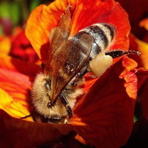Photo #12041558