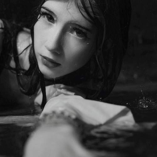 Photo #12041622