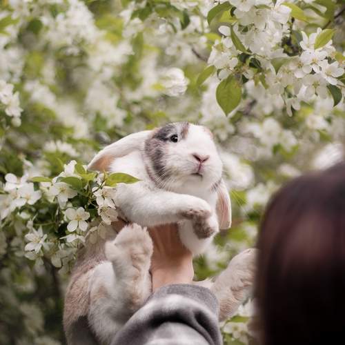 Photo #12041751