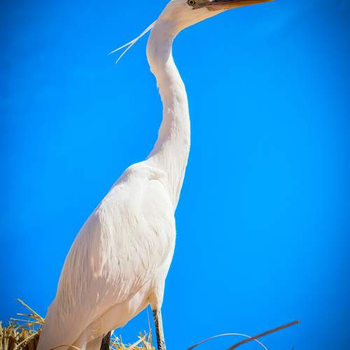 Photo #12041793
