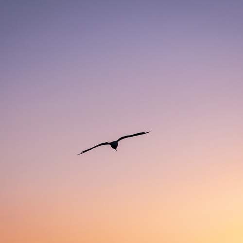 Photo #12042057