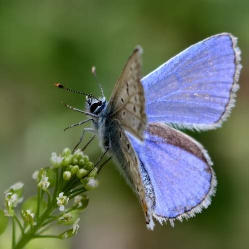 Photo #12042267