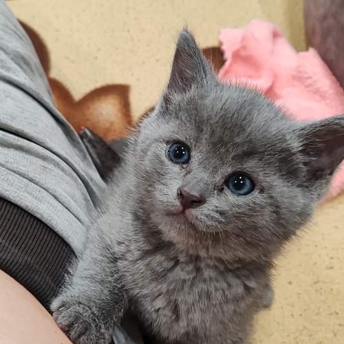 Photo #12042367