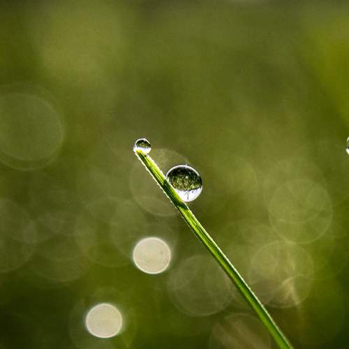 Photo #12042382