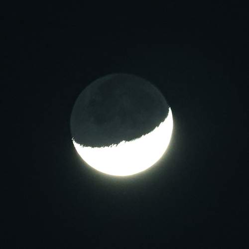 Photo #12042399