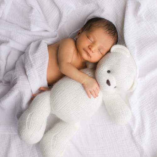 Photo #12042402