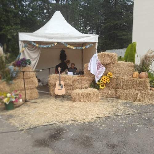 Photo #12042650