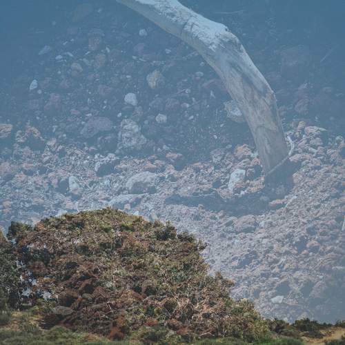 Photo #12042815