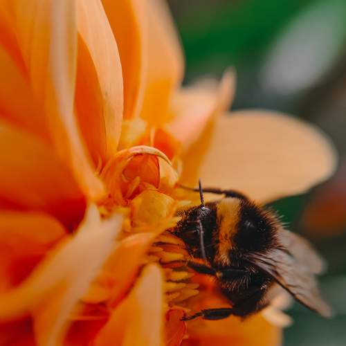 Photo #12042842