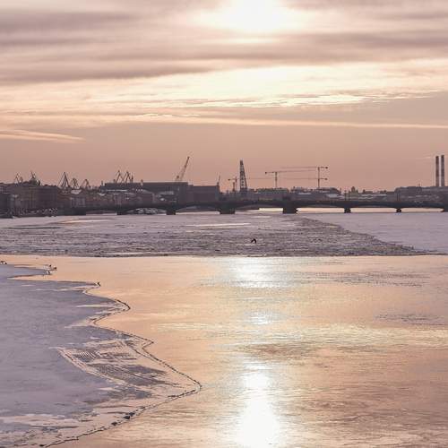 Photo #12042896