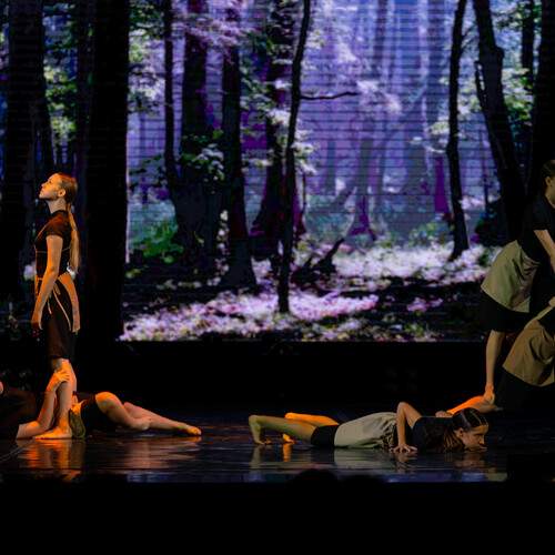 Photo #12043181