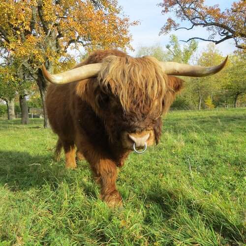 Photo #12043228