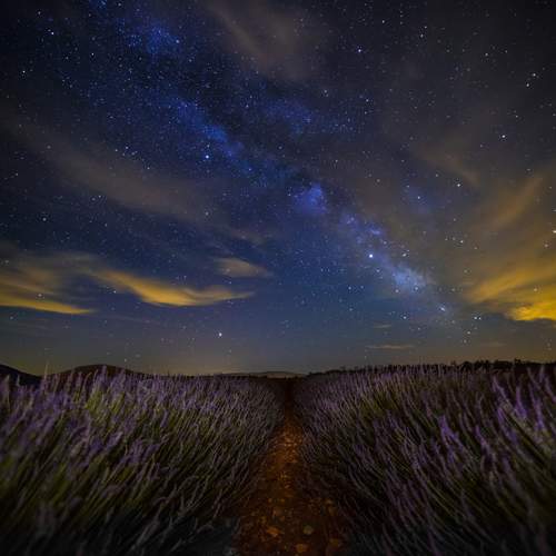 Photo #12043340