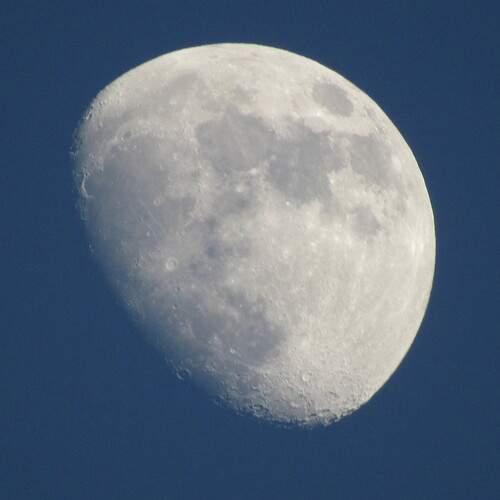 Photo #12043417