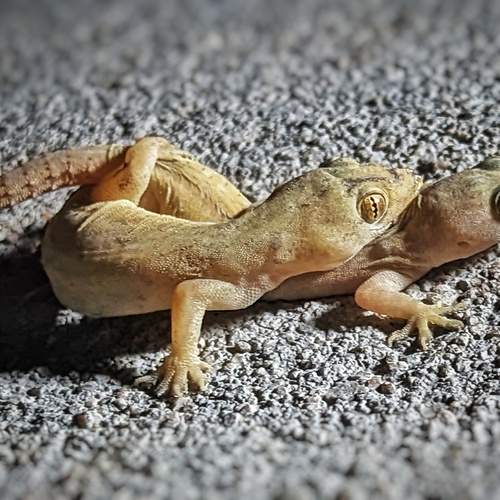 Photo #12043494
